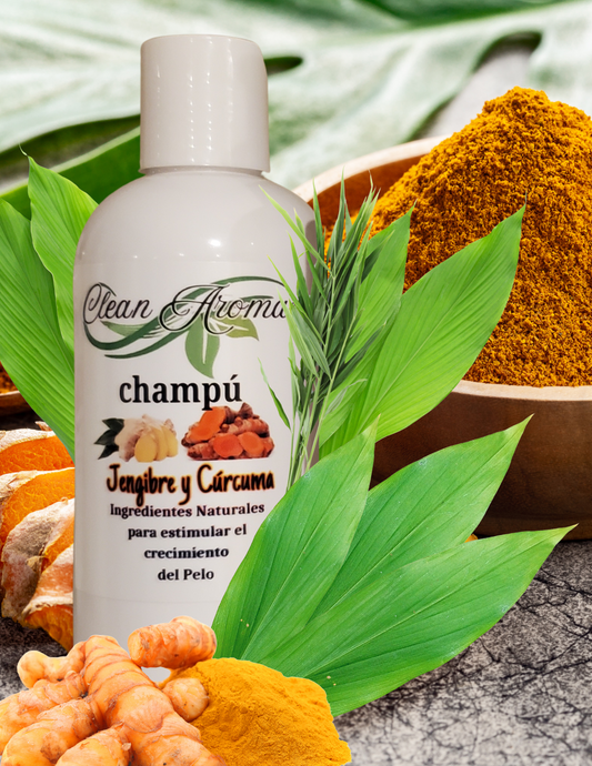 Ginger and Turmeric Shampoo (Shampoo de Genjibre y Curcuma) 12 OZ.
