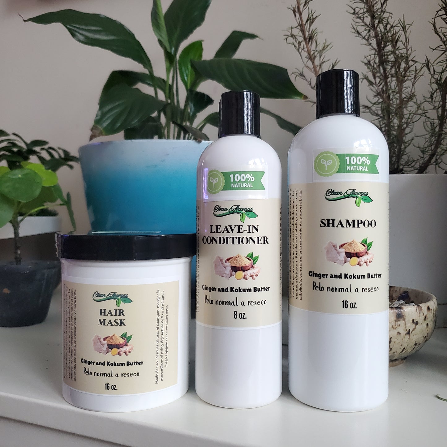 Set of Ginger and Kokum butter Hair Products